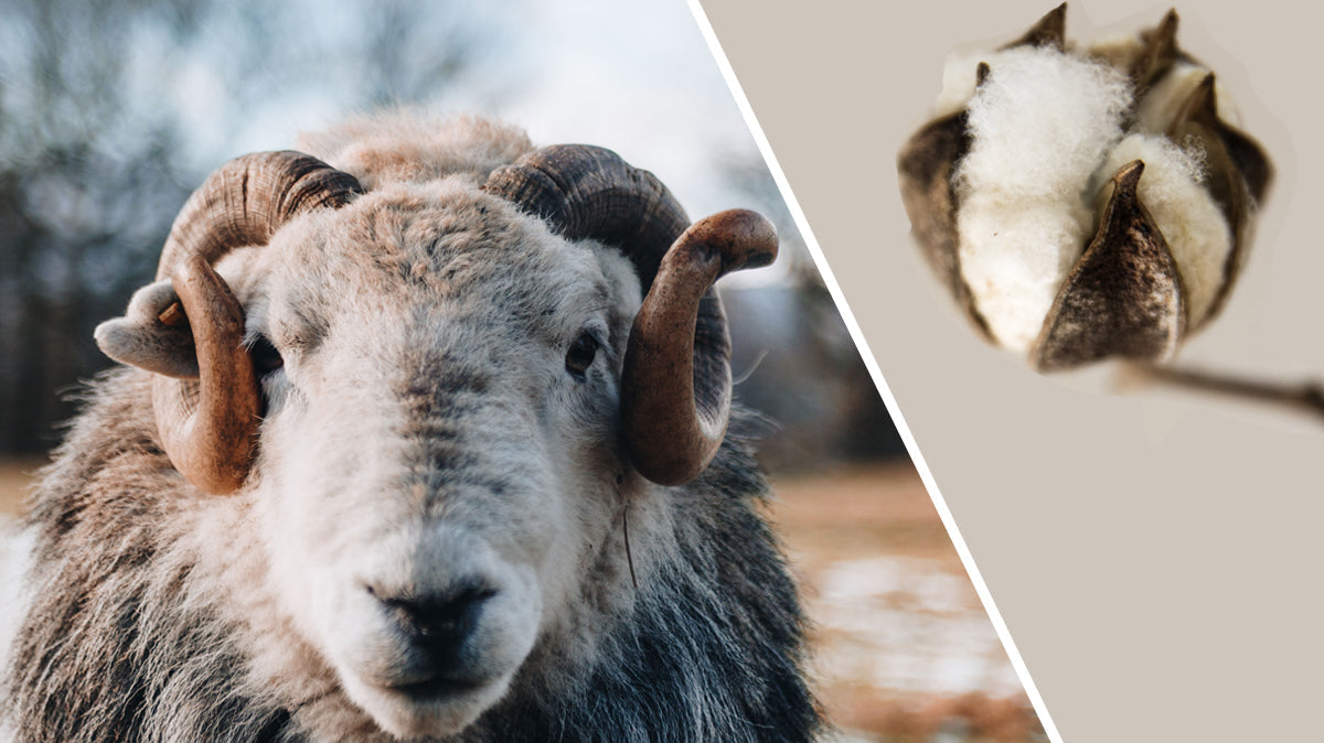 Ein unschlagbares Team: Merinowolle & Baumwolle