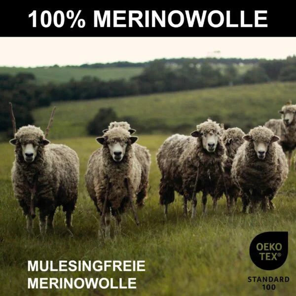 Merino T-Shirt – 100% mulesing-freie Merinowolle aus ethischer Haltung – WOOL ROCKERS