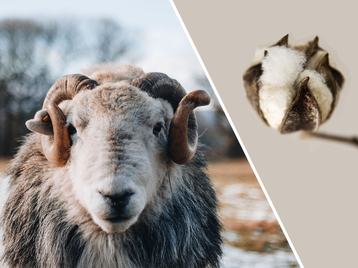 Ein unschlagbares Team: Merinowolle & Baumwolle